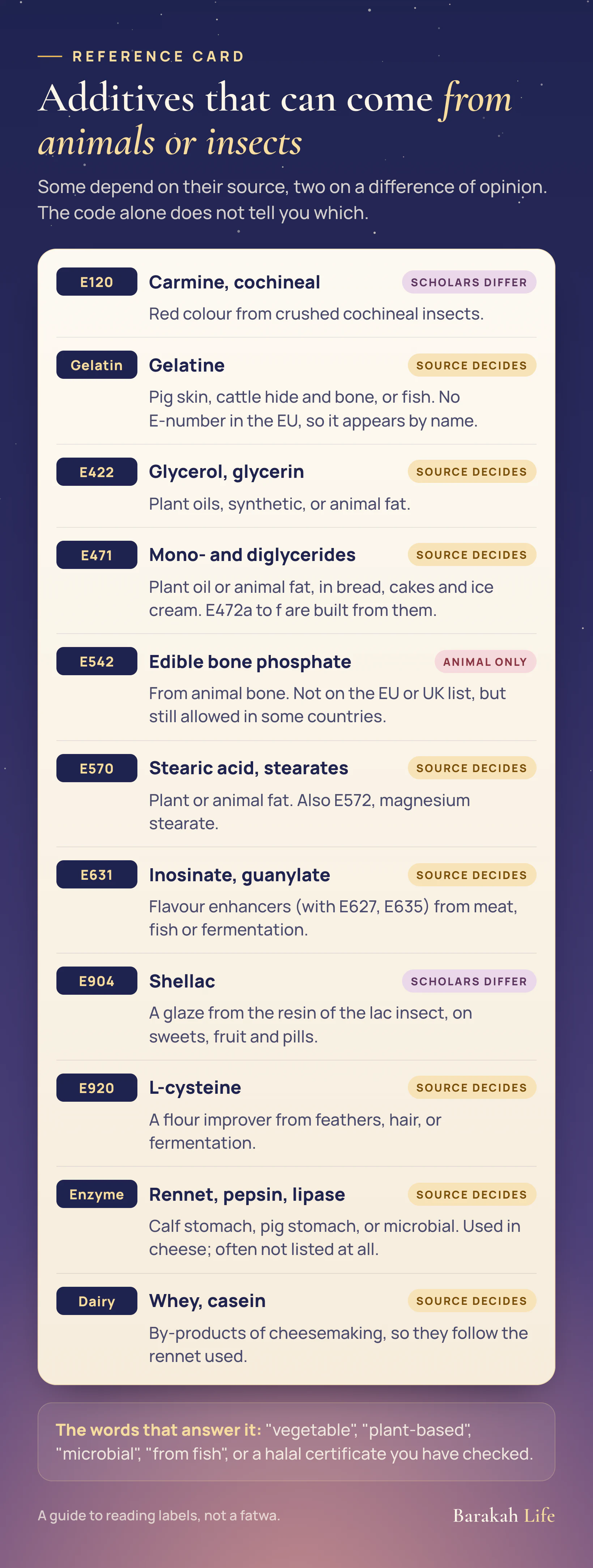 A reference card of additives that can come from animals or insects: E120 carmine, gelatine, E422 glycerol, E471 mono- and diglycerides, E542 edible bone phosphate, E570 stearic acid, E631 flavour enhancers, E904 shellac, E920 L-cysteine, rennet and enzymes, and whey and casein.