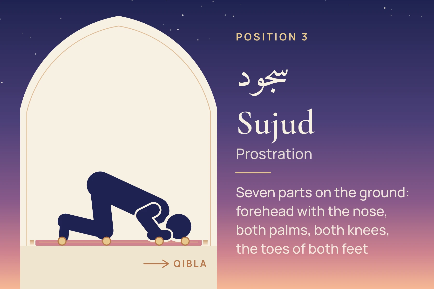 A figure in sujud with the seven contact points marked: forehead and nose, palms, knees and toes, with the elbows raised off the floor