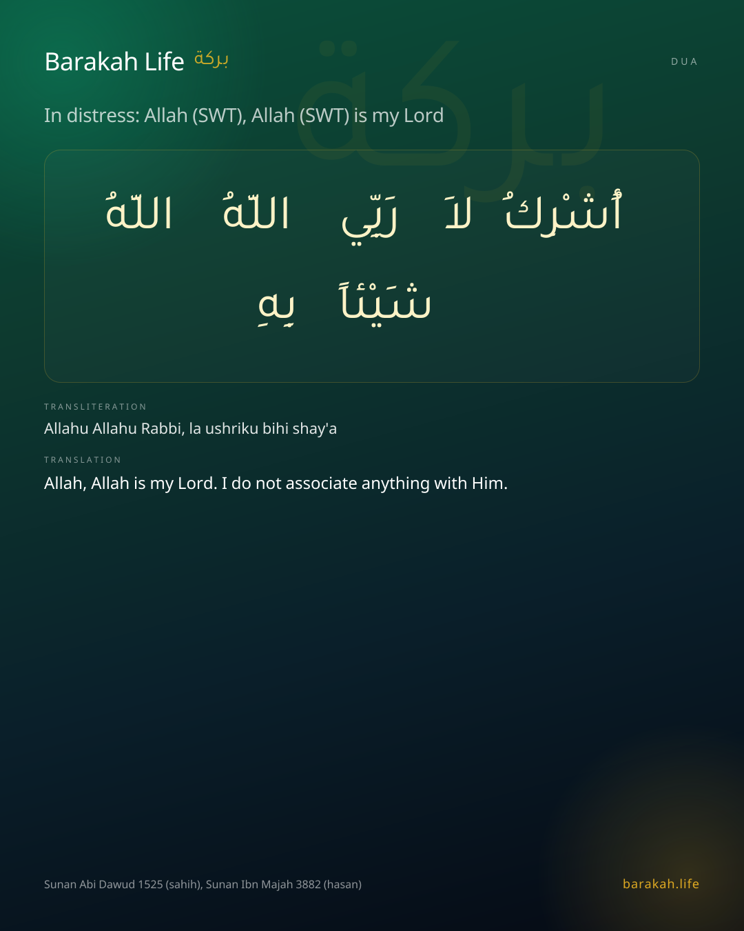 In distress: Allah (SWT), Allah (SWT) is my Lord: Arabic, transliteration, and translation