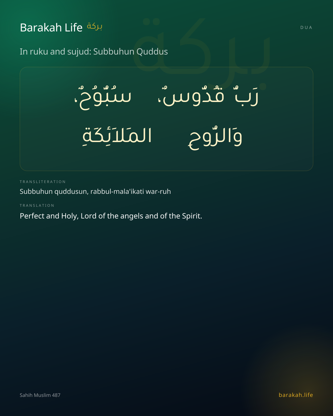 In ruku and sujud: Subbuhun Quddus: Arabic, transliteration, and translation