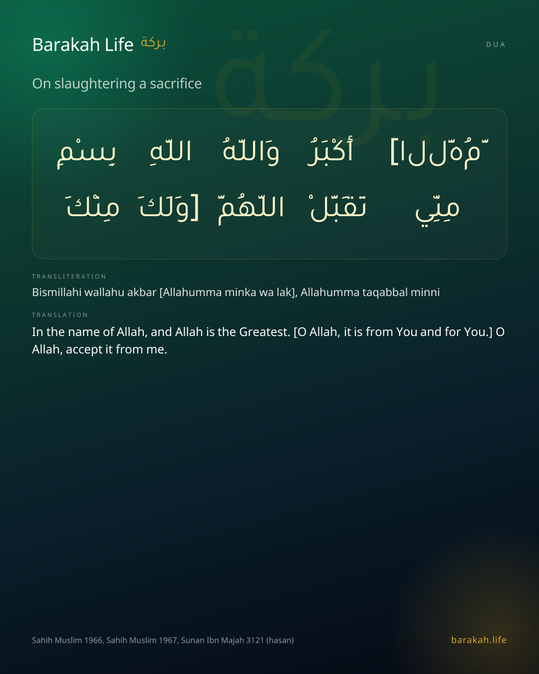 On slaughtering a sacrifice: Arabic, transliteration, and translation
