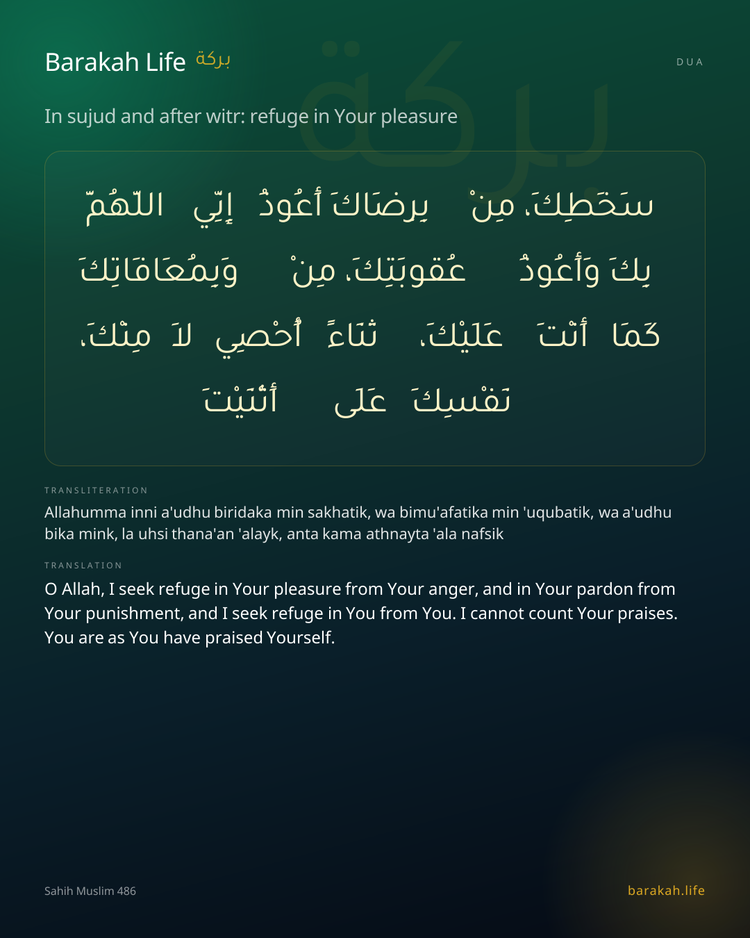In sujud and after witr: refuge in Your pleasure: Arabic, transliteration, and translation