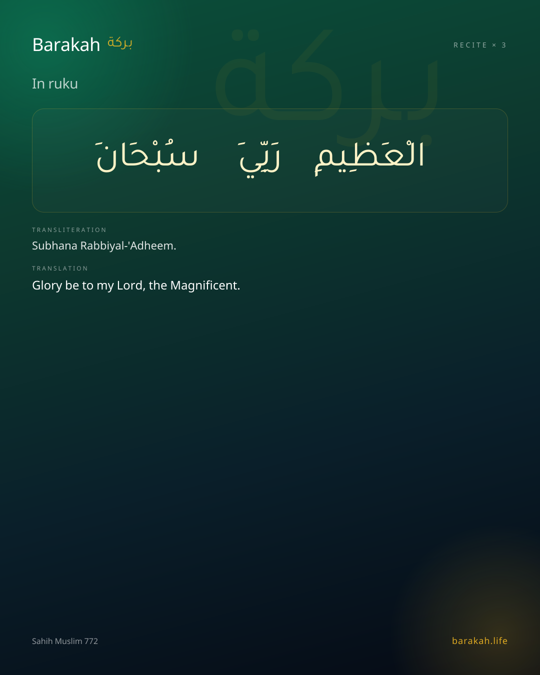 In ruku: Arabic, transliteration, and translation