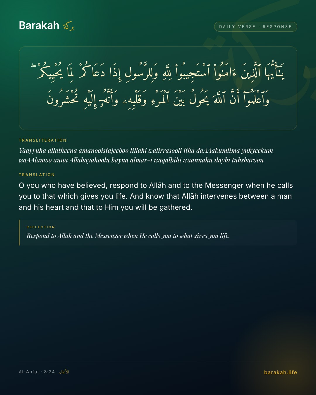 Al-Anfal 8:24 — O you who have believed, respond to Allāh and to the Messenger when he calls you to that which gives you life. And know …