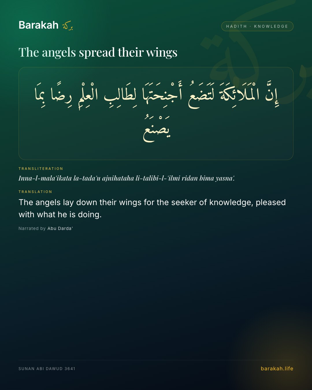 The angels spread their wings — The angels lay down their wings for the seeker of knowledge, pleased with what he is doing.