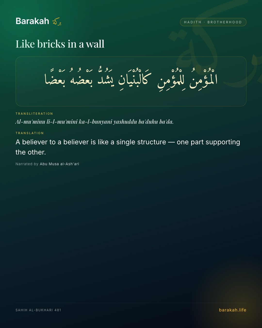 Like bricks in a wall — A believer to a believer is like a single structure — one part supporting the other.