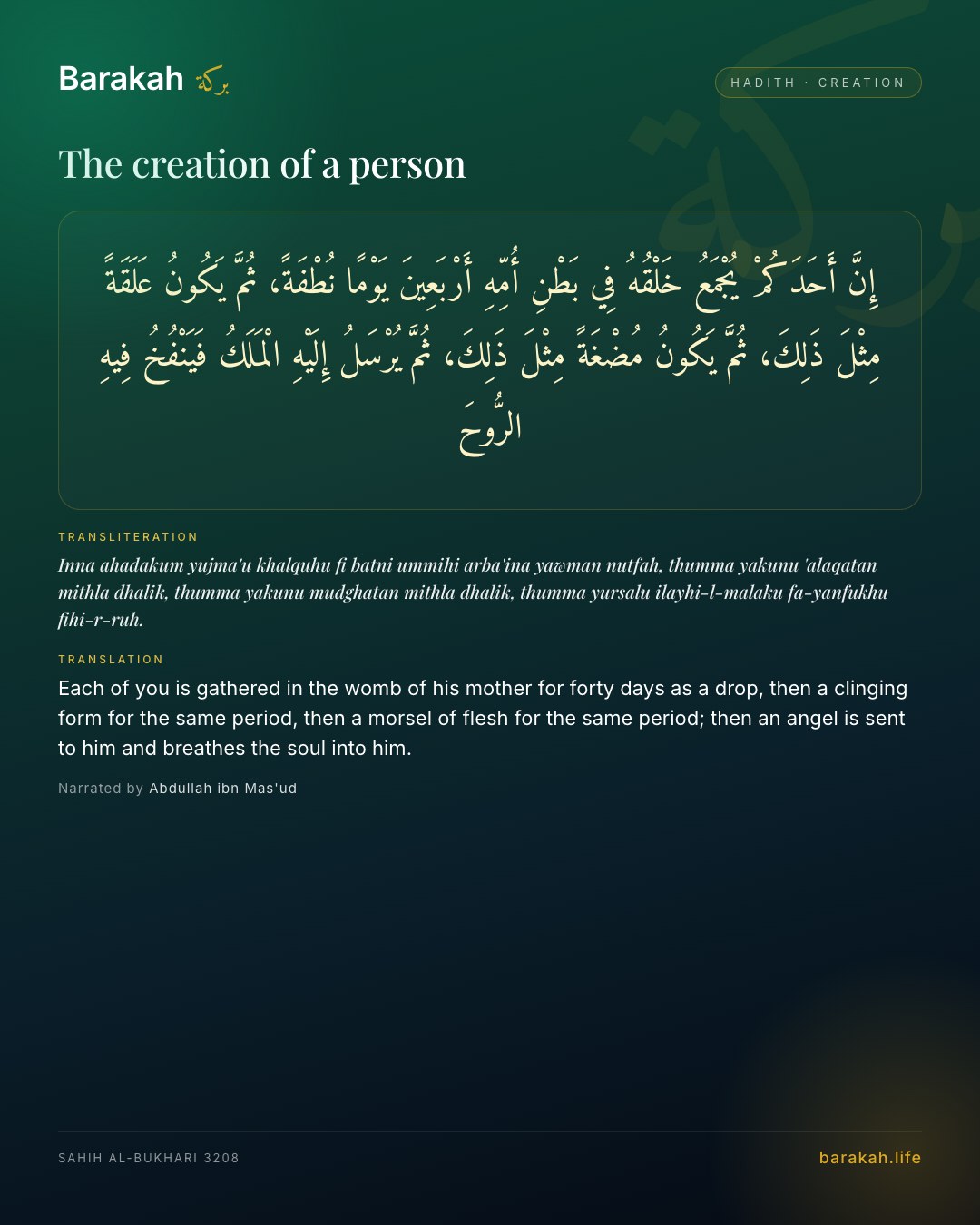 The creation of a person — Each of you is gathered in the womb of his mother for forty days as a drop, then a clinging form for the same period, th…