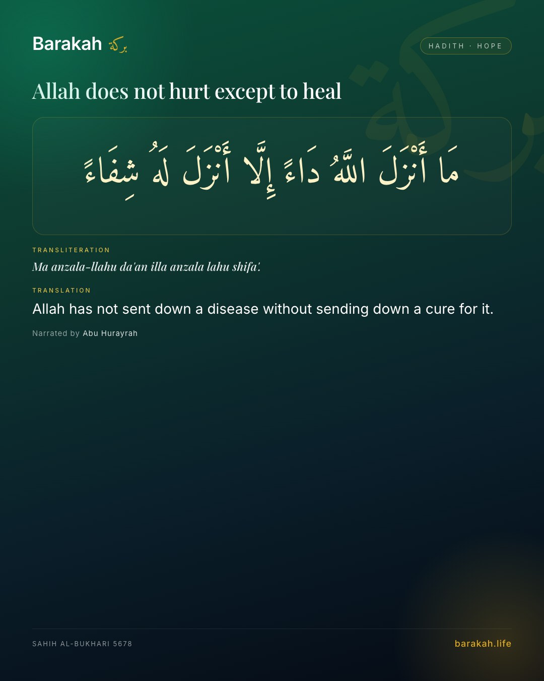 Allah does not hurt except to heal — Allah has not sent down a disease without sending down a cure for it.