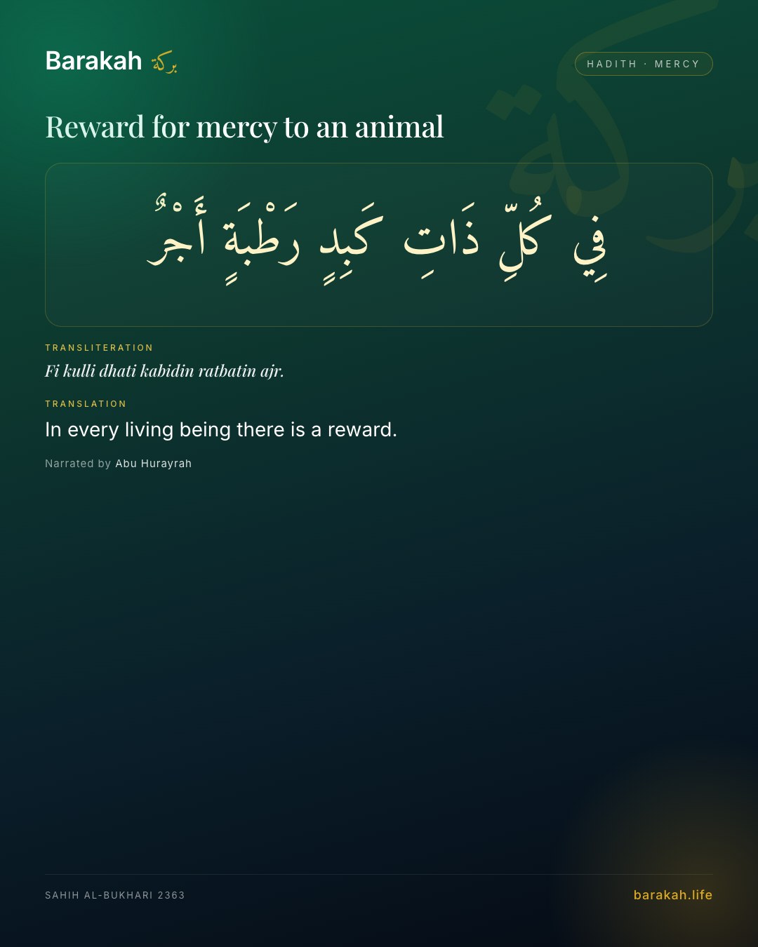 Reward for mercy to an animal — In every living being there is a reward.