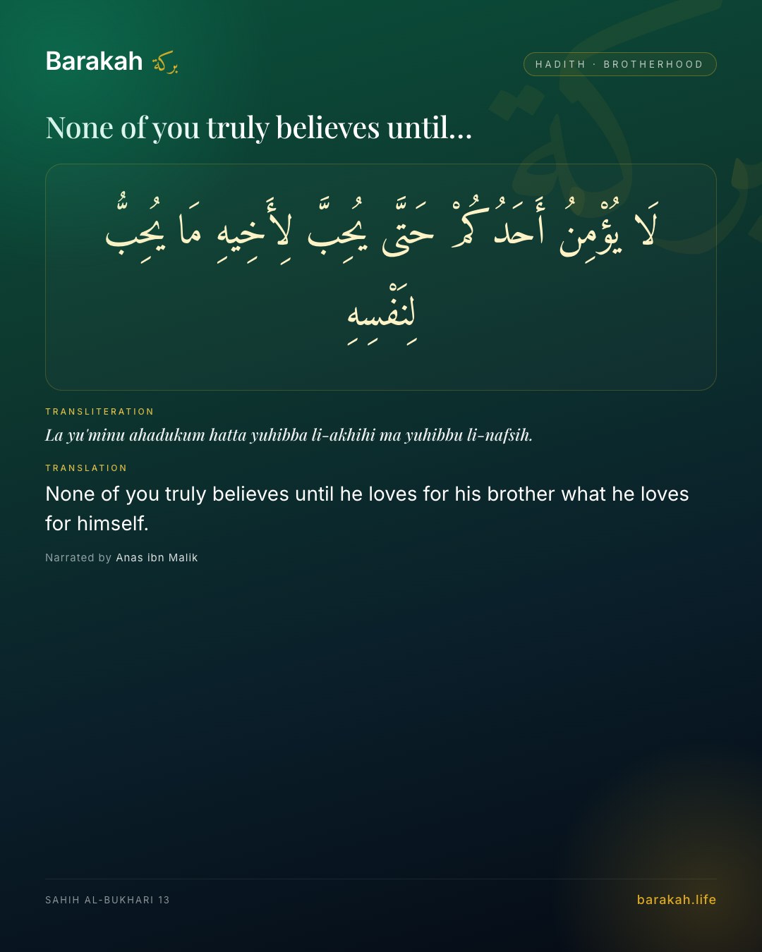 None of you truly believes until… — None of you truly believes until he loves for his brother what he loves for himself.