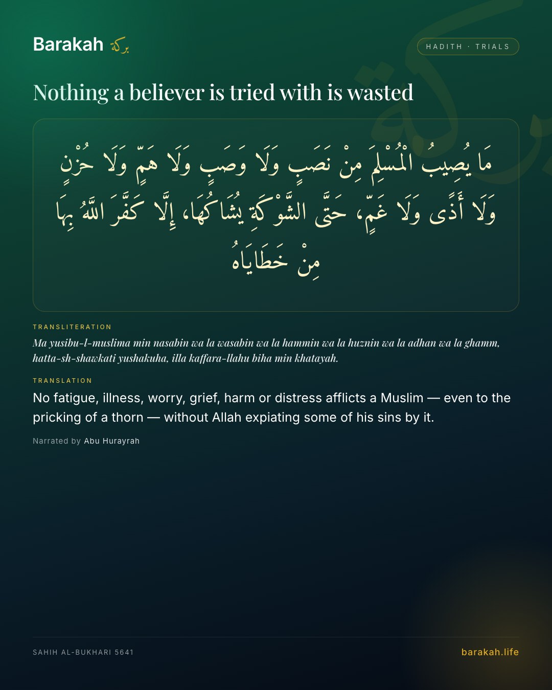 Nothing a believer is tried with is wasted — No fatigue, illness, worry, grief, harm or distress afflicts a Muslim — even to the pricking of a thorn — without Allah …