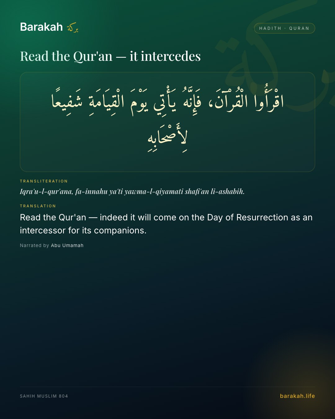 Read the Qur'an — it intercedes — Read the Qur'an — indeed it will come on the Day of Resurrection as an intercessor for its companions.