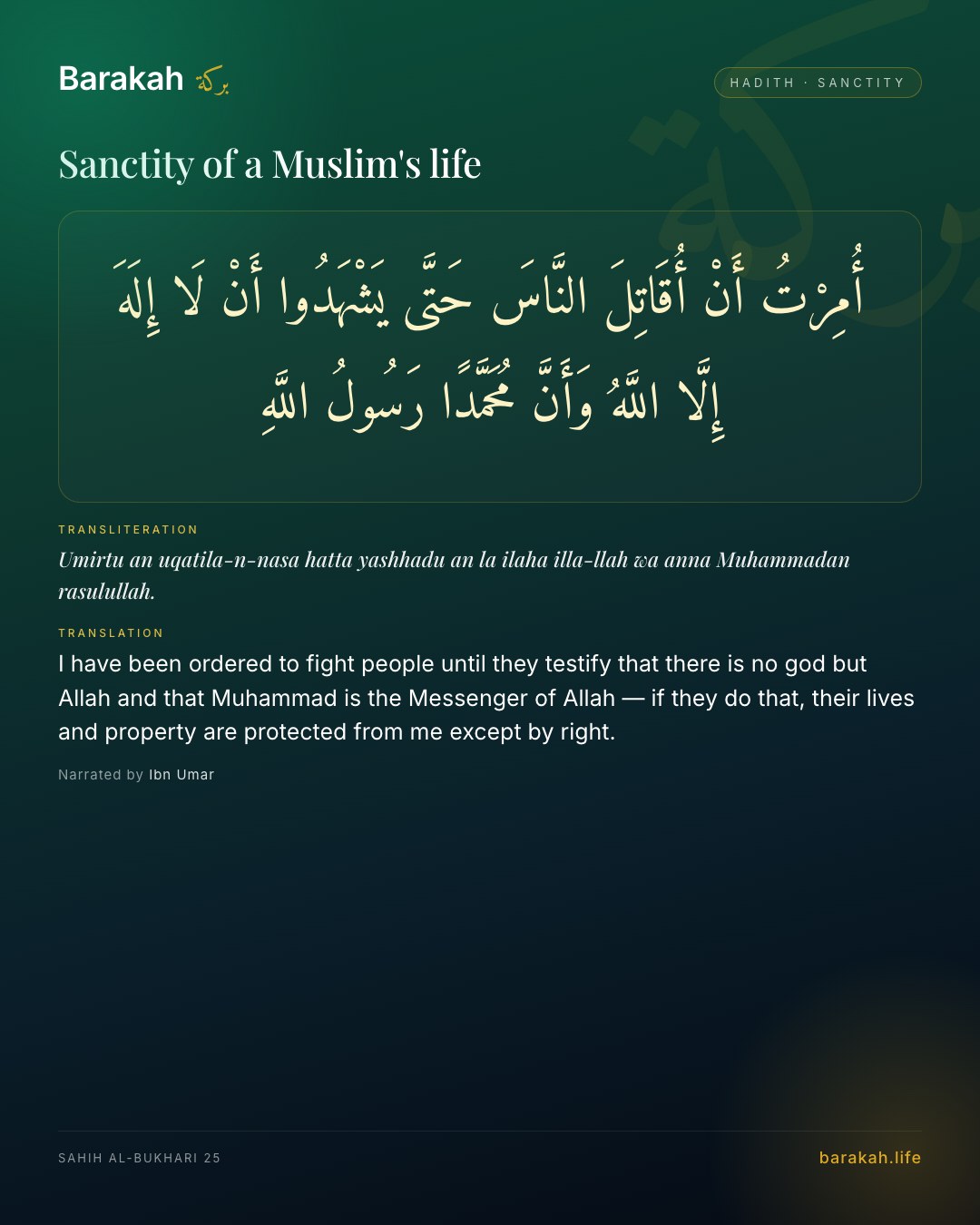 Sanctity of a Muslim's life — I have been ordered to fight people until they testify that there is no god but Allah and that Muhammad is the Messenger…