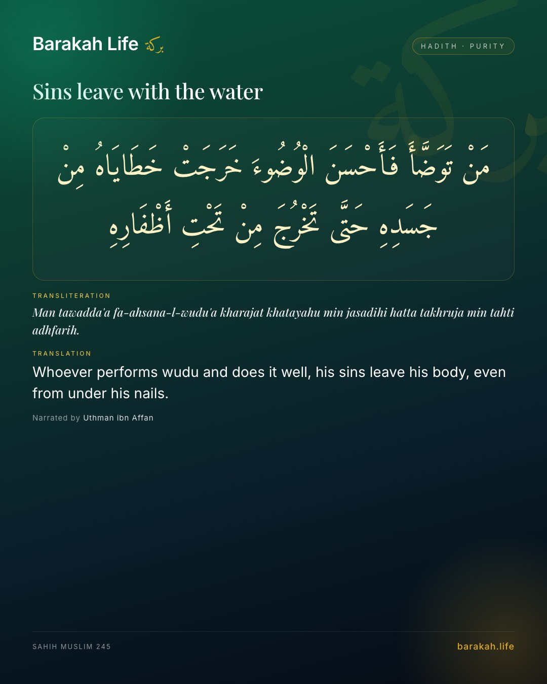 Sins leave with the water: Whoever performs wudu and does it well, his sins leave his body, even from under his nails.