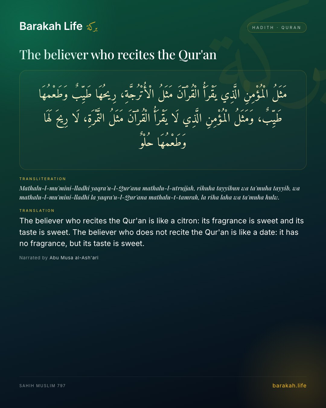 The believer who recites the Qur'an: The believer who recites the Qur'an is like a citron: its fragrance is sweet and its taste is sweet. The believer who do…