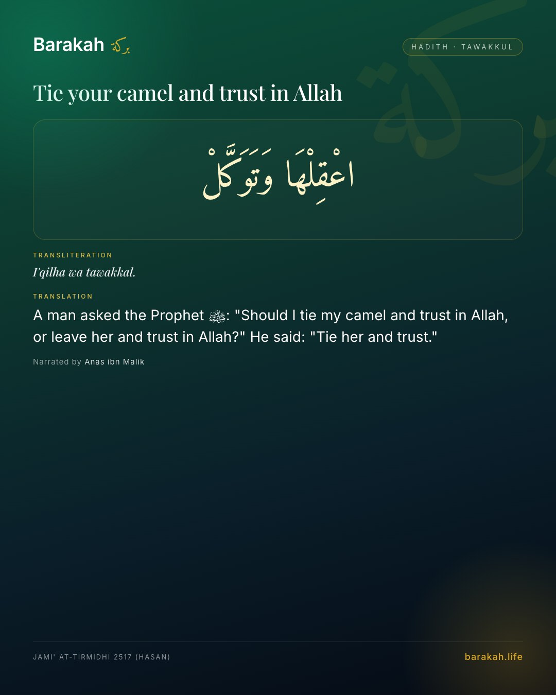 Tie your camel and trust in Allah — A man asked the Prophet ﷺ: "Should I tie my camel and trust in Allah, or leave her and trust in Allah?" He said: "Tie he…
