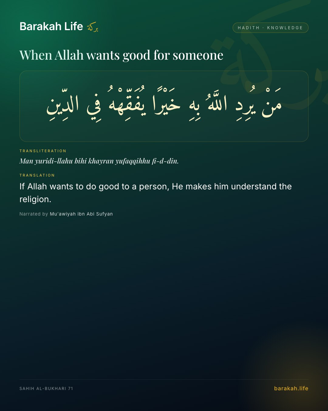 When Allah wants good for someone: If Allah wants to do good to a person, He makes him understand the religion.