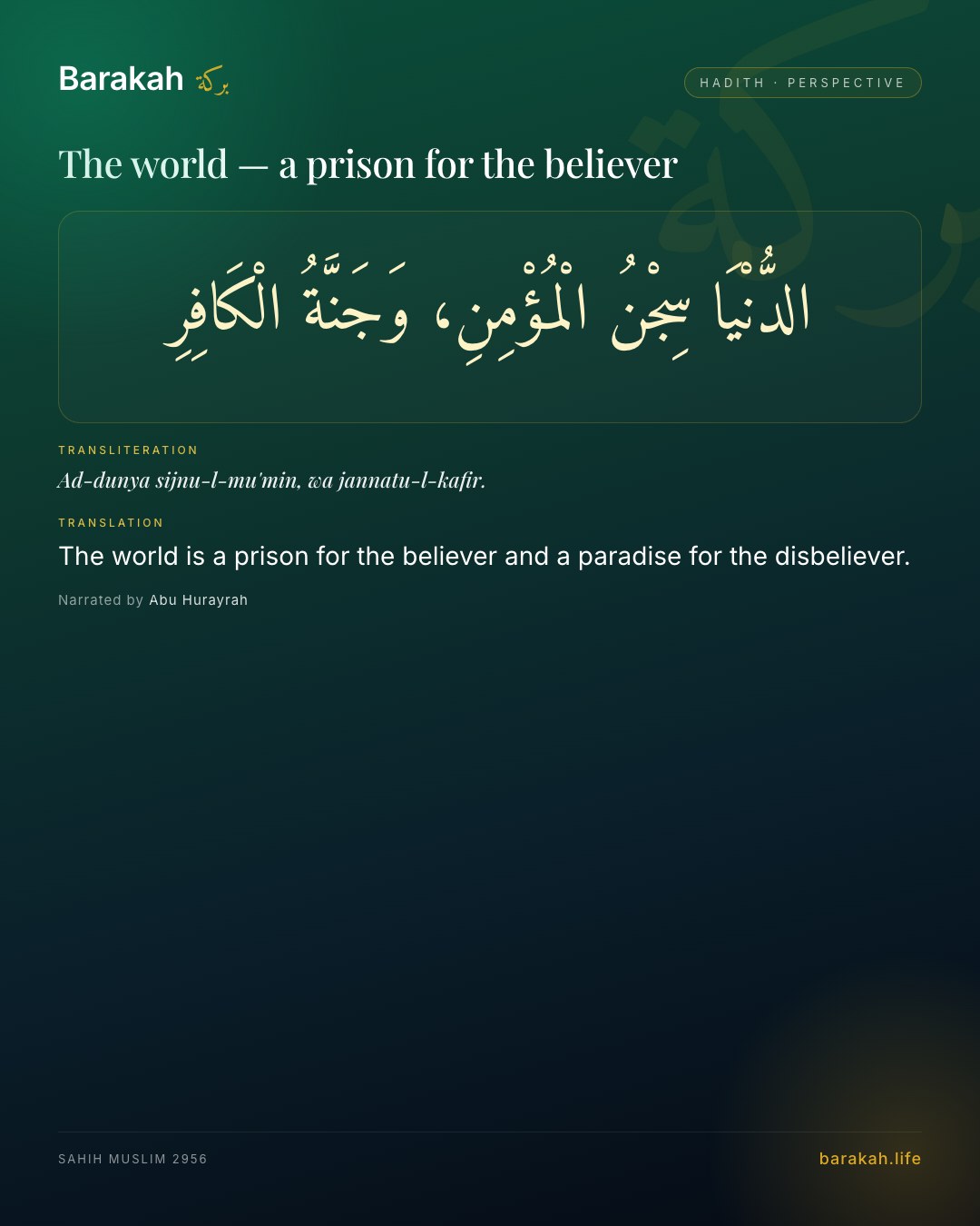 The world — a prison for the believer — The world is a prison for the believer and a paradise for the disbeliever.